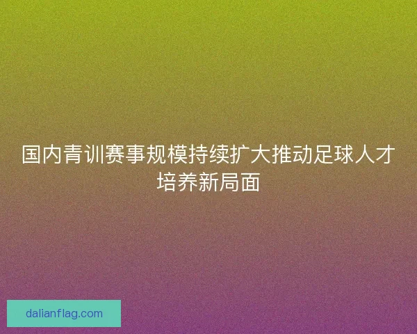 国内青训赛事规模持续扩大推动足球人才培养新局面